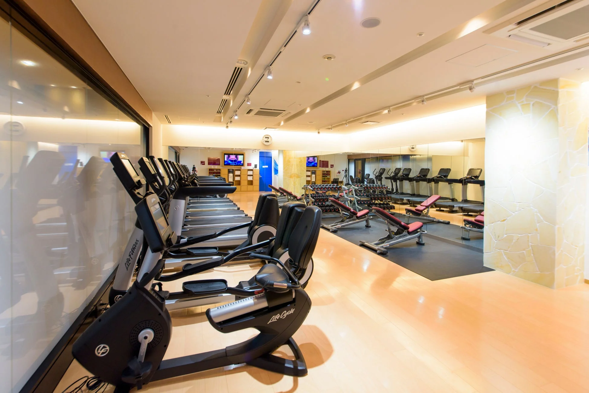 ジム,フィットネスセンター,トレーニング,運動,室内,ランニングマシン,エアロバイク,筋トレ,ダンベル,エクササイズ,健康,施設